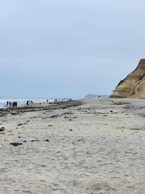 Neutral Beige Beach Sand Photo Print